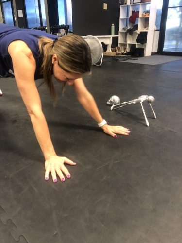 personal-trainer-clifton-park-ny-586